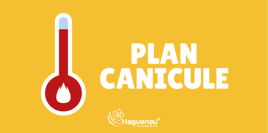 Plan canicule : restons vigilants face aux fortes chaleurs